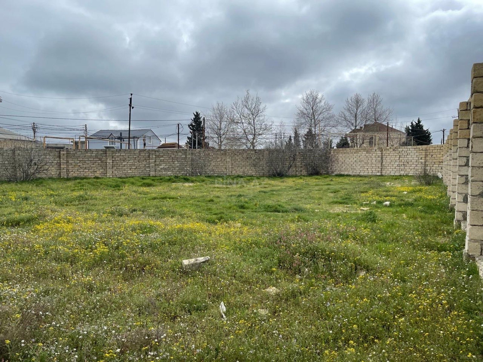 Torpaq Bilgəh q., Bakı