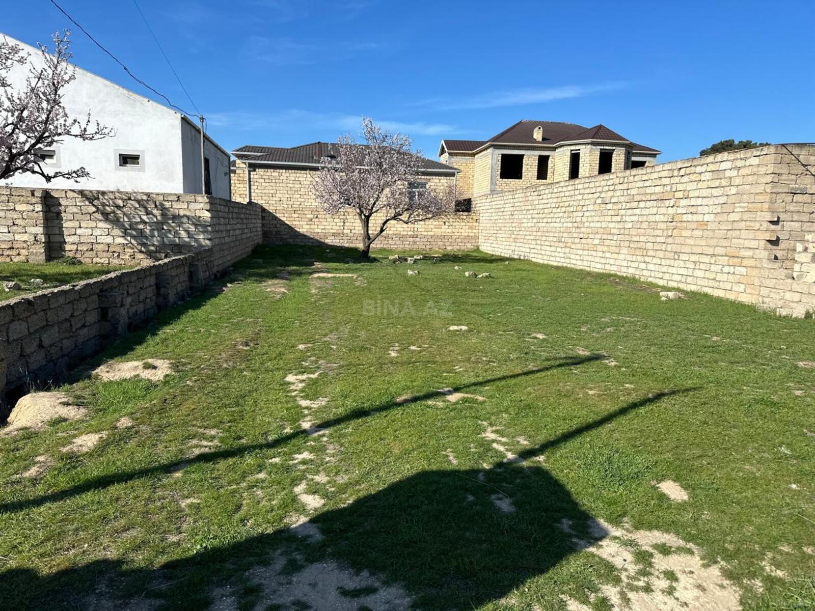 Torpaq Ramana q., Bakı