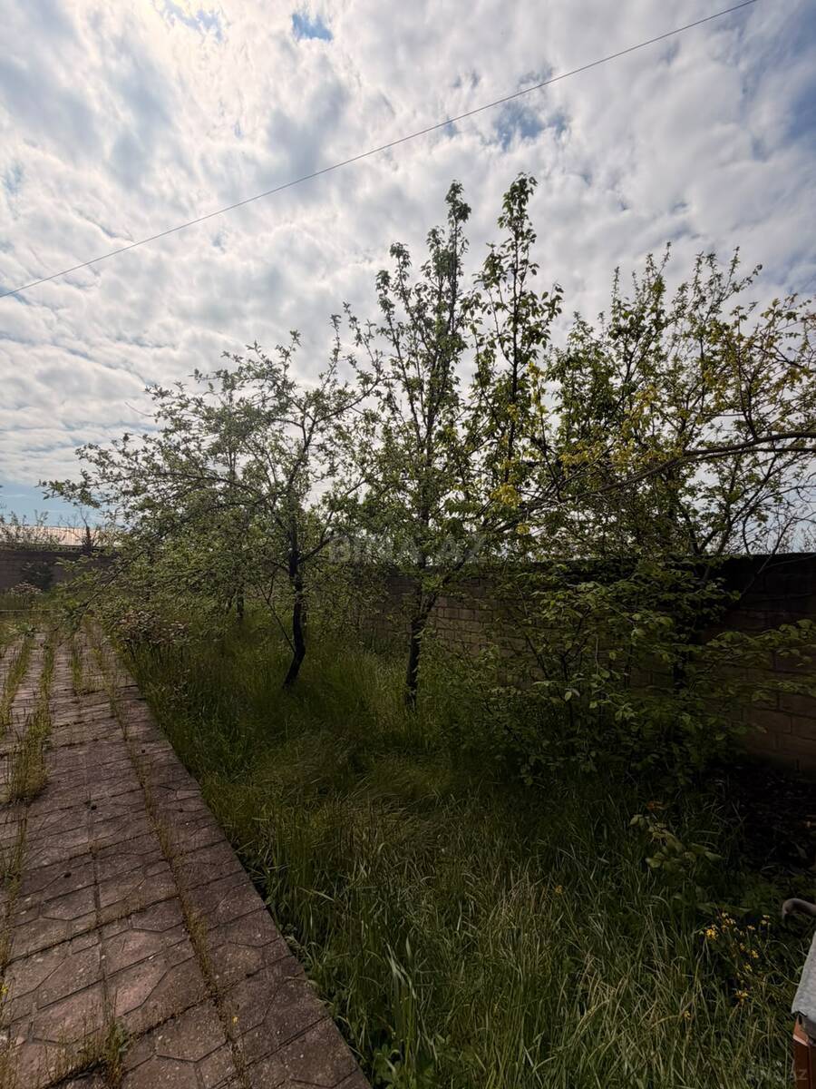 9 otaqlı Həyət evi/Bağ evi, Şamaxı