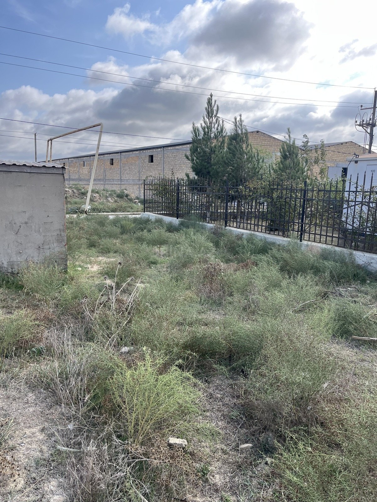 Torpaq Novxanı q., Bakı
