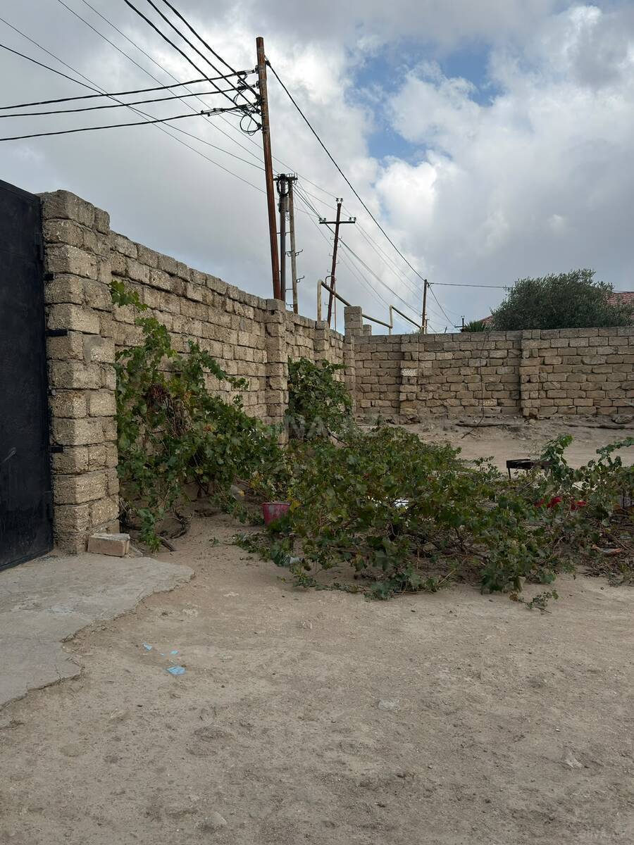 Torpaq Albalılıq q., Bakı