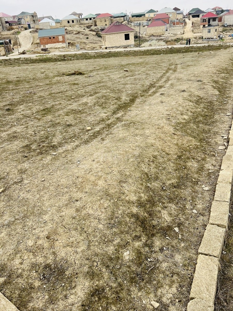 Torpaq Atyalı q., Bakı
