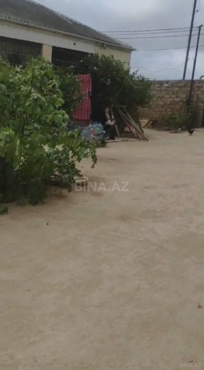 Torpaq Albalılıq q., Bakı