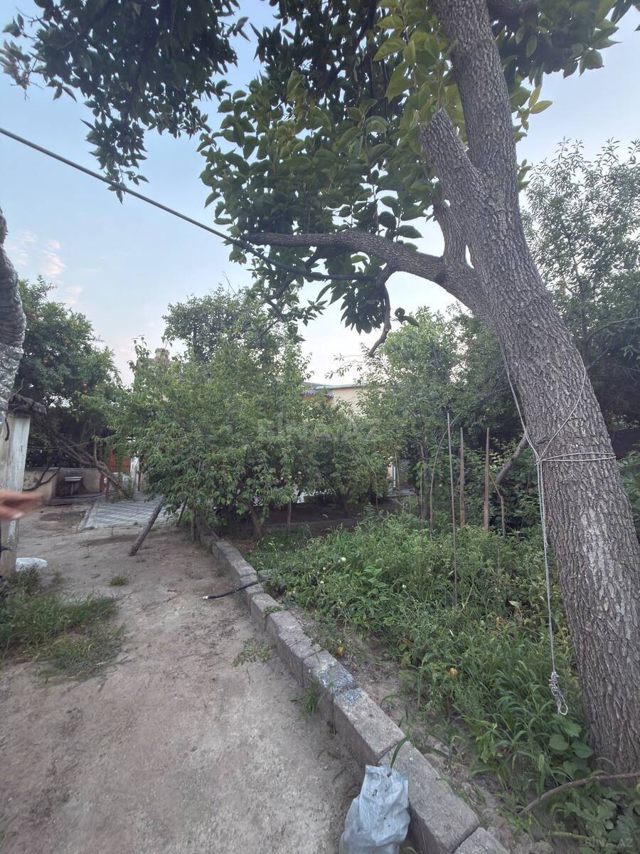Torpaq Qara Qarayev m., Bakı