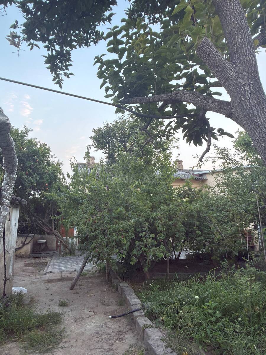 Torpaq Qara Qarayev m., Bakı