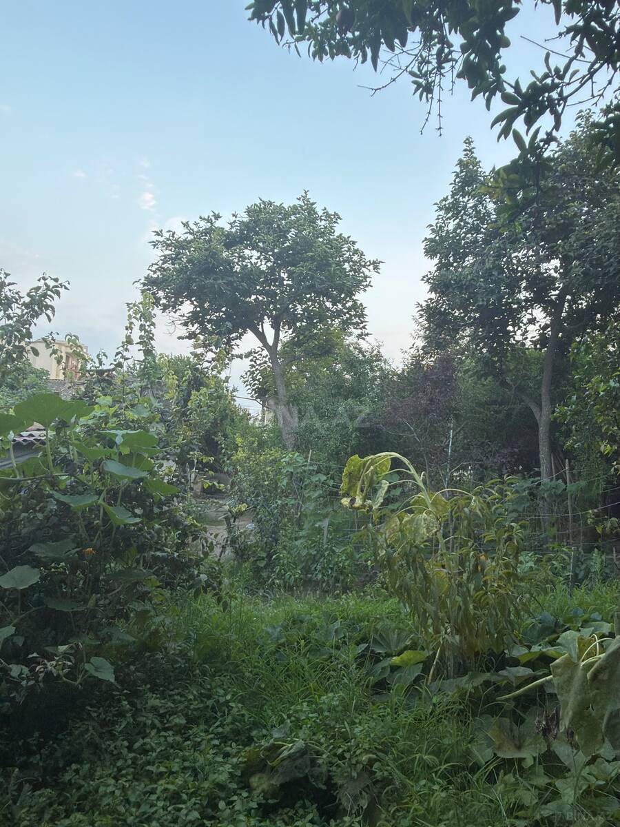 Torpaq Qara Qarayev m., Bakı