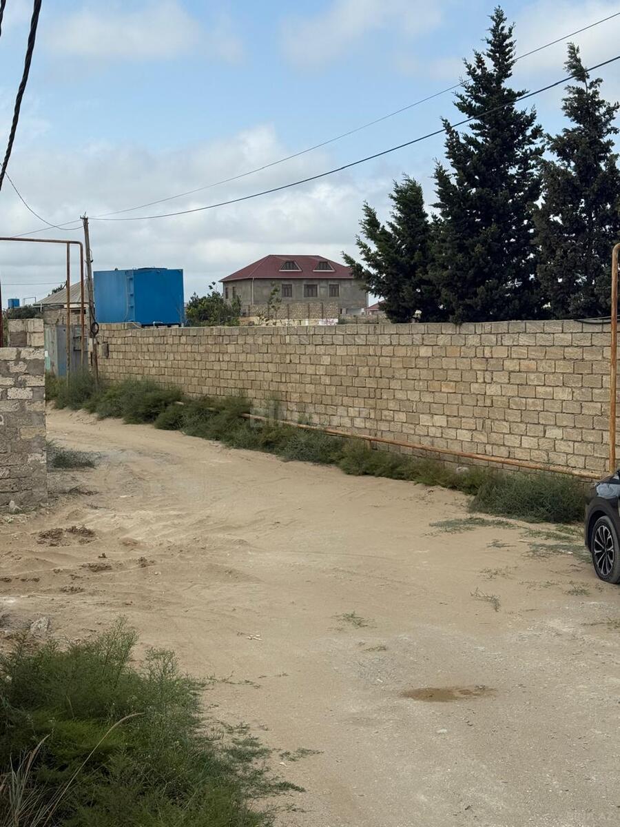 Torpaq Nardaran q., Bakı