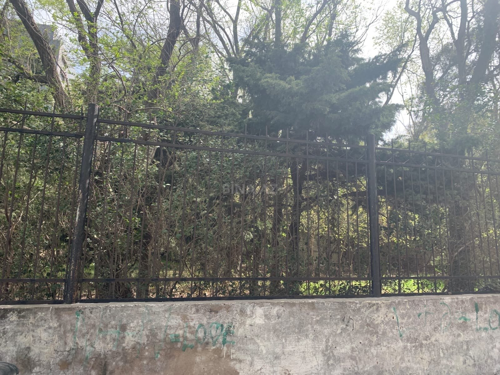 Torpaq Azadlıq Prospekti m., Bakı