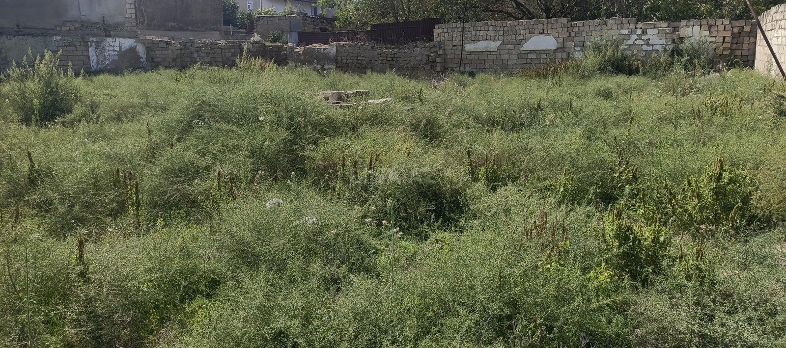 Torpaq Digah q., Bakı