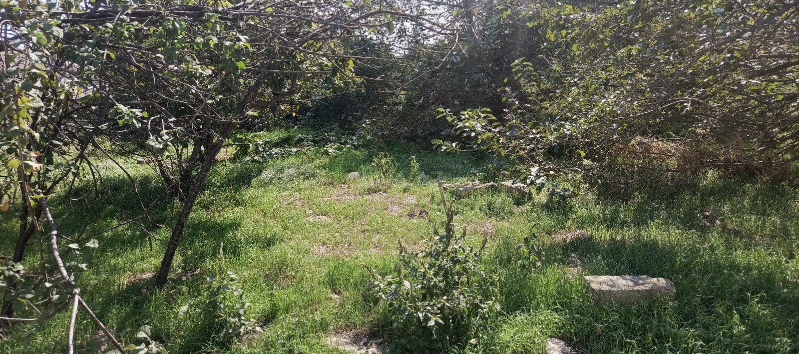 Torpaq Digah q., Bakı