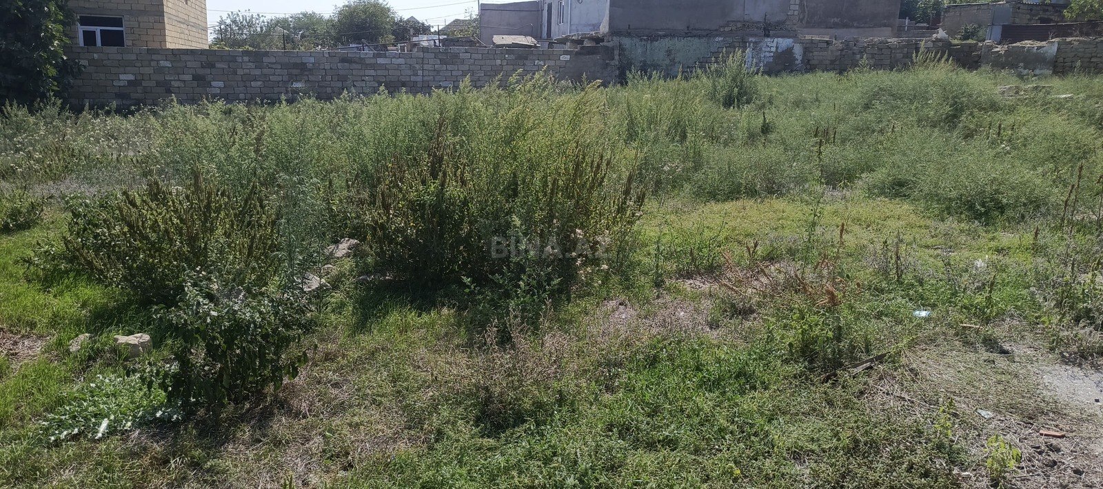 Torpaq Digah q., Bakı