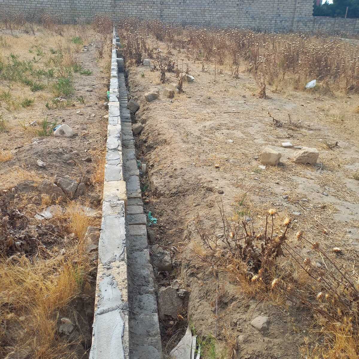 Torpaq Görədil q., Bakı