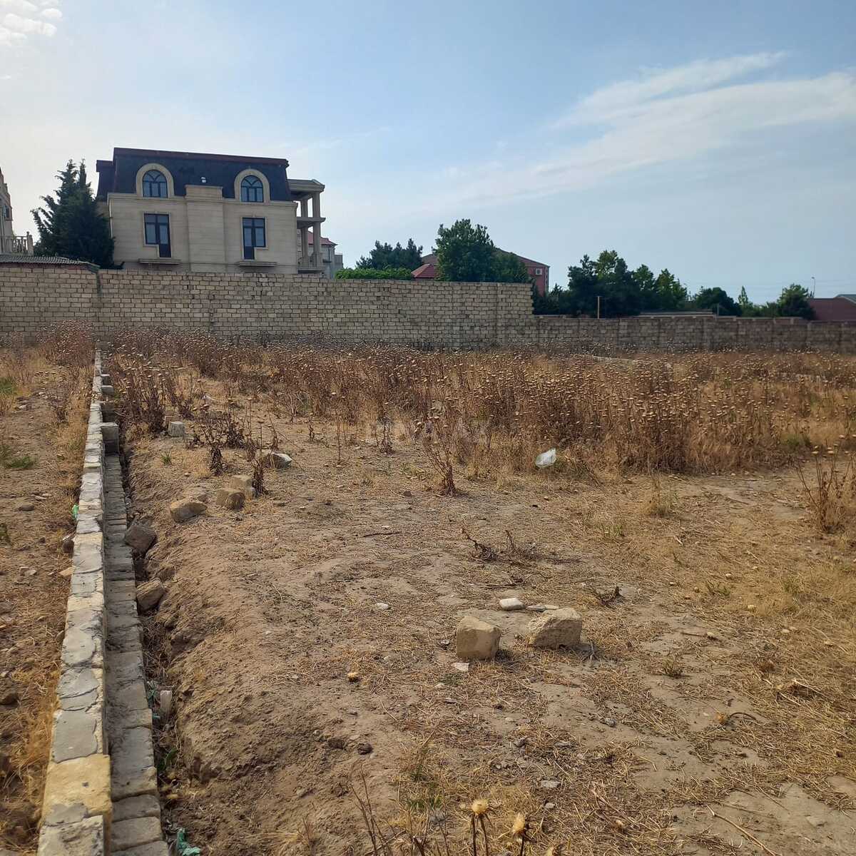 Torpaq Görədil q., Bakı