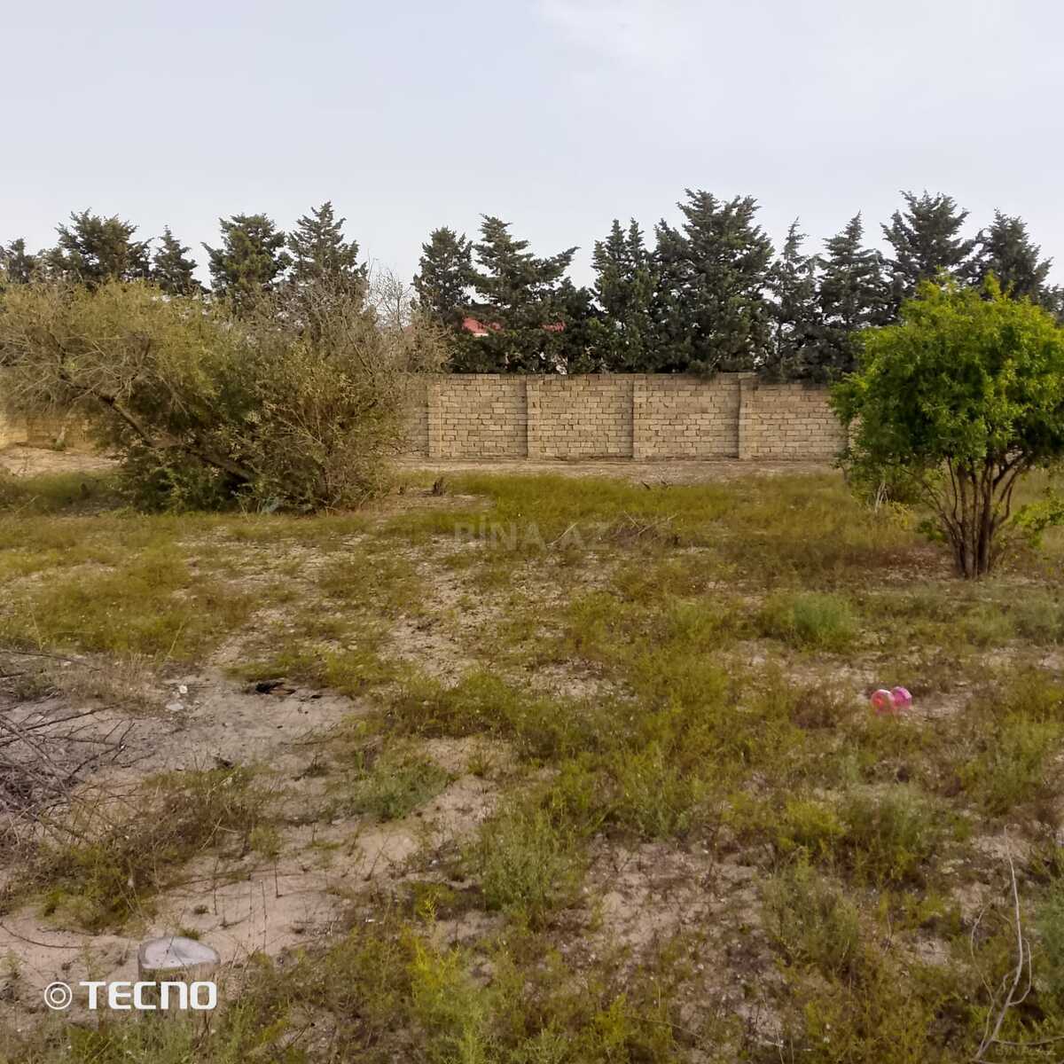 Torpaq Şüvəlan q., Bakı