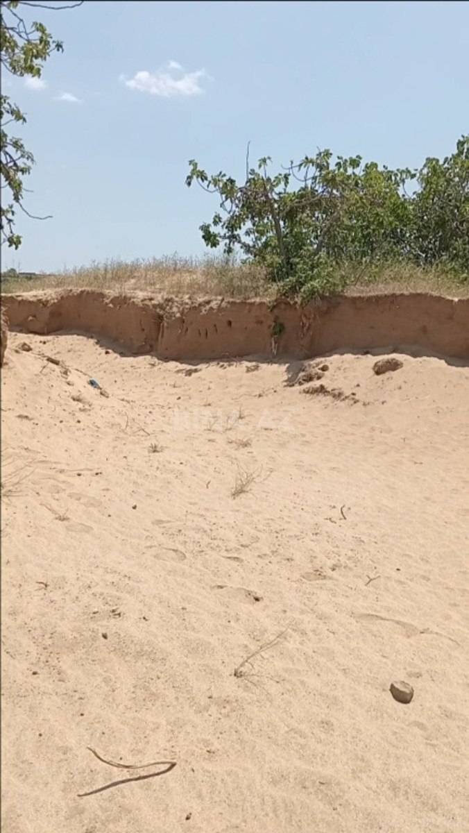 Torpaq Nardaran q., Bakı