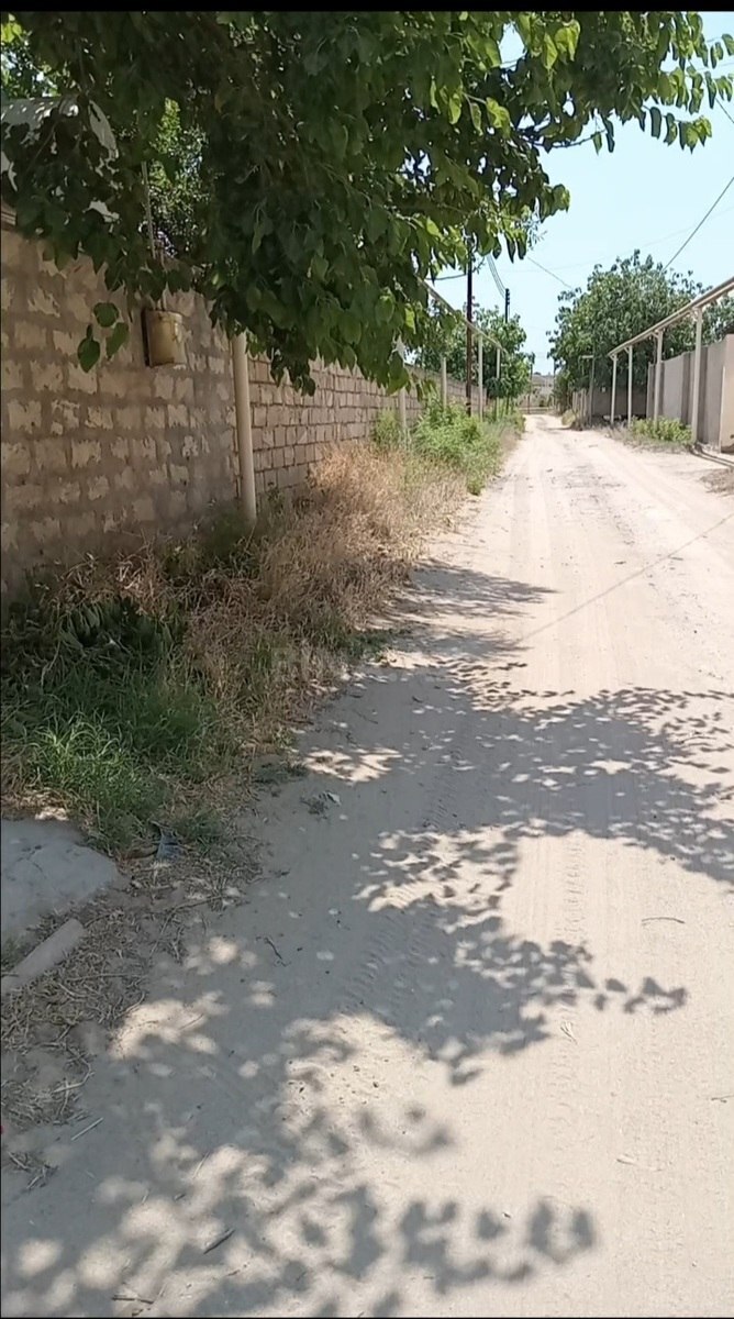 Torpaq Nardaran q., Bakı