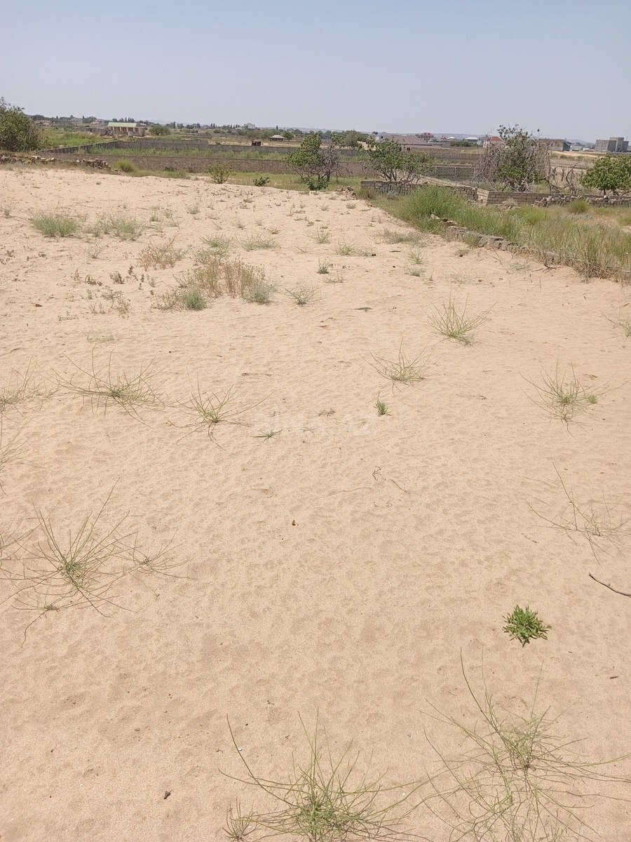 Torpaq Nardaran q., Bakı