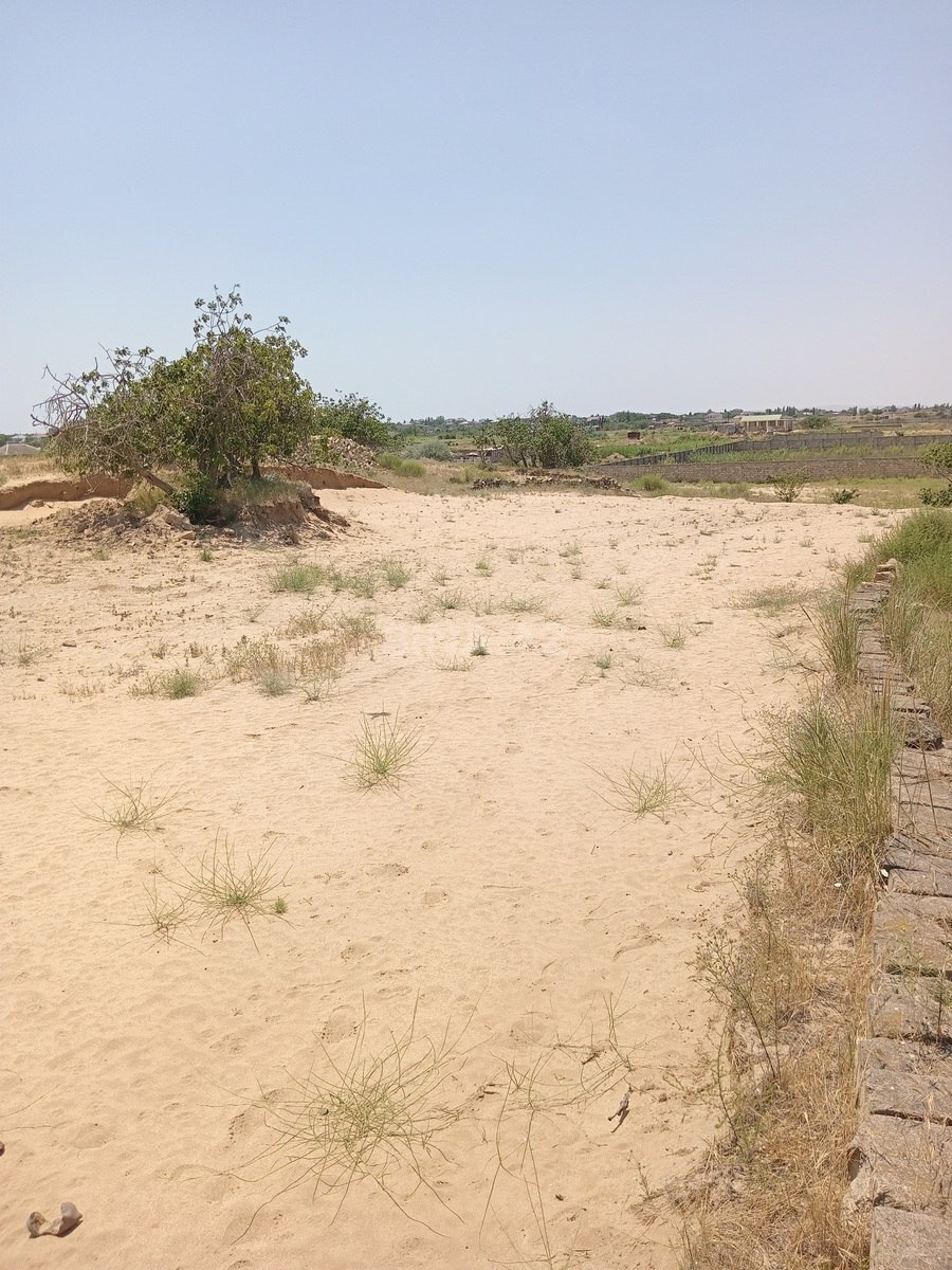 Torpaq Nardaran q., Bakı