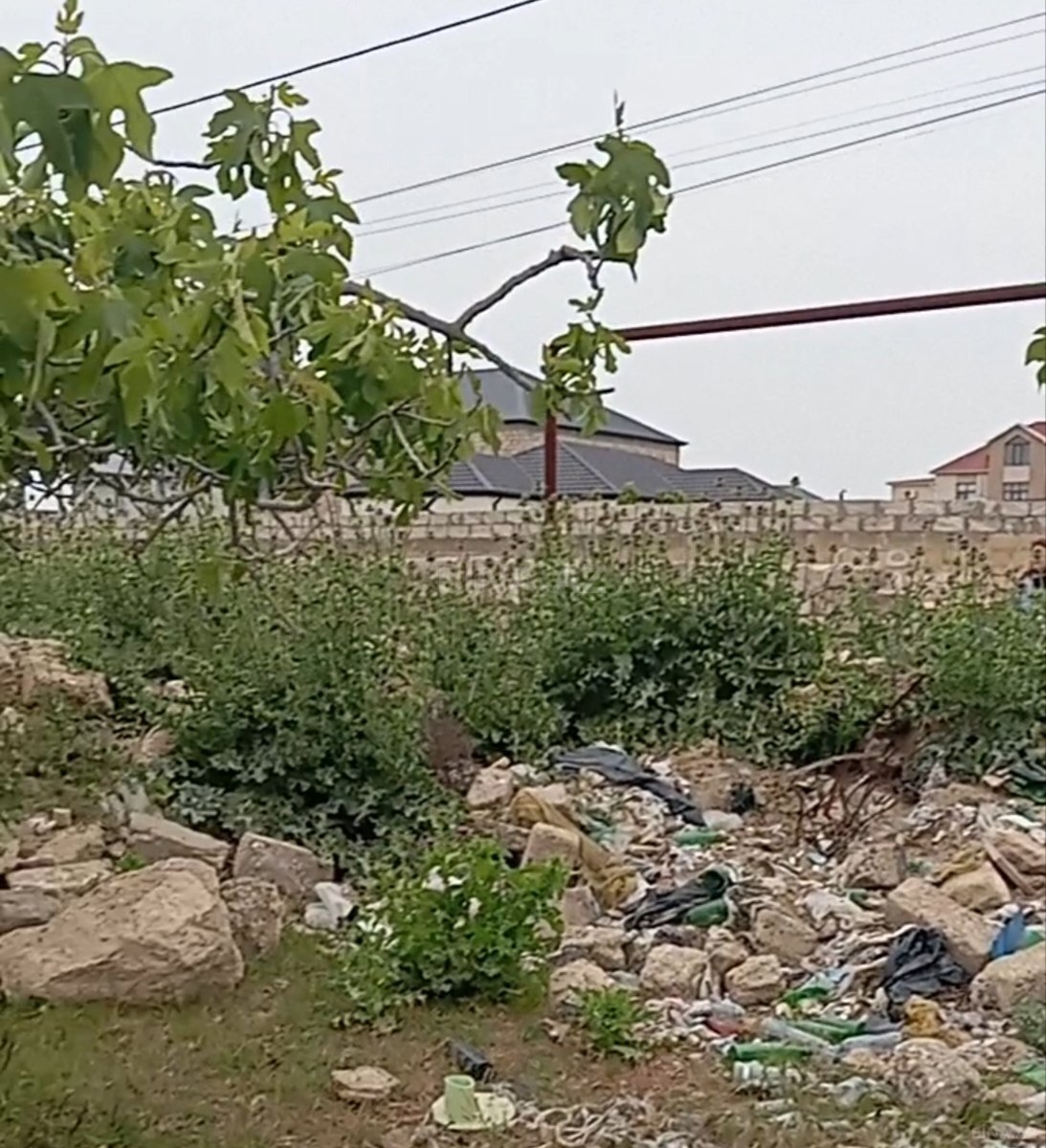 Torpaq Albalılıq q., Bakı