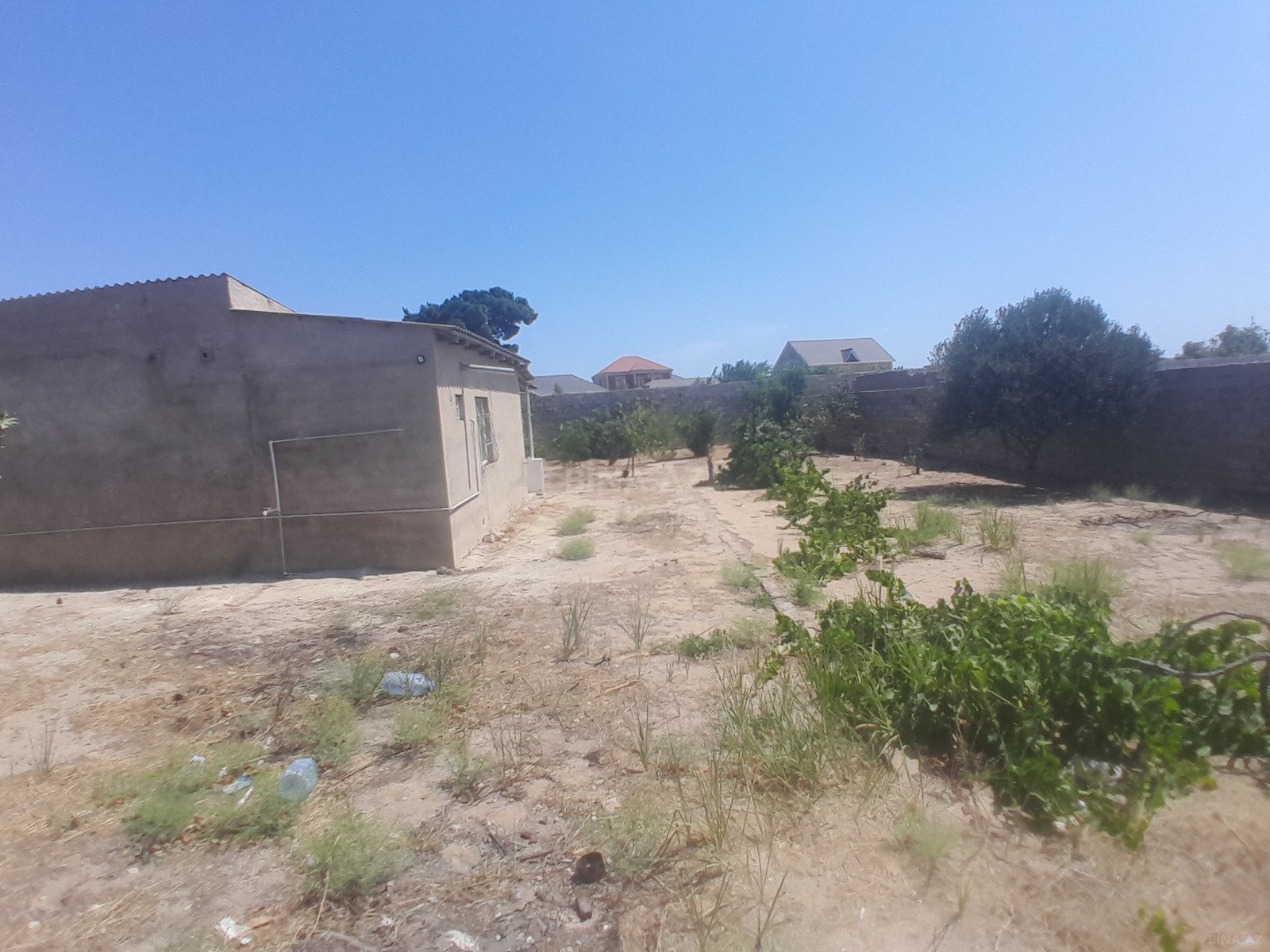 Torpaq Qala q., Bakı