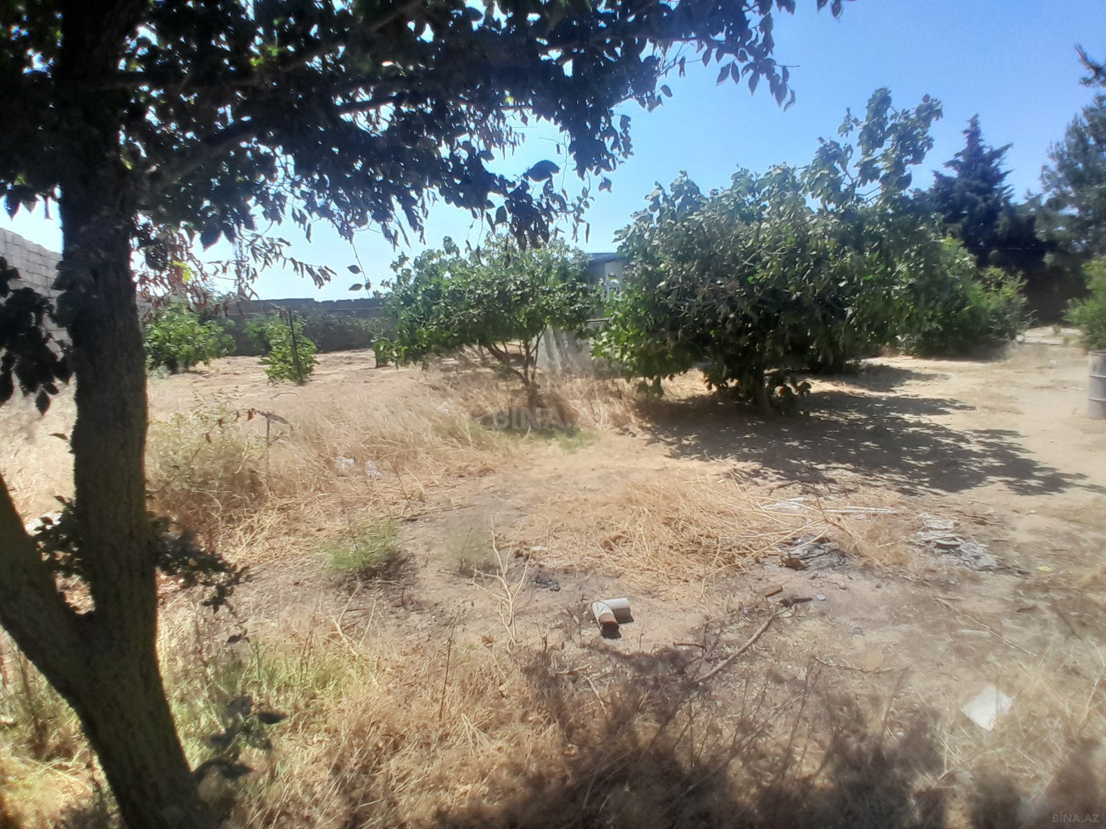 Torpaq Qala q., Bakı