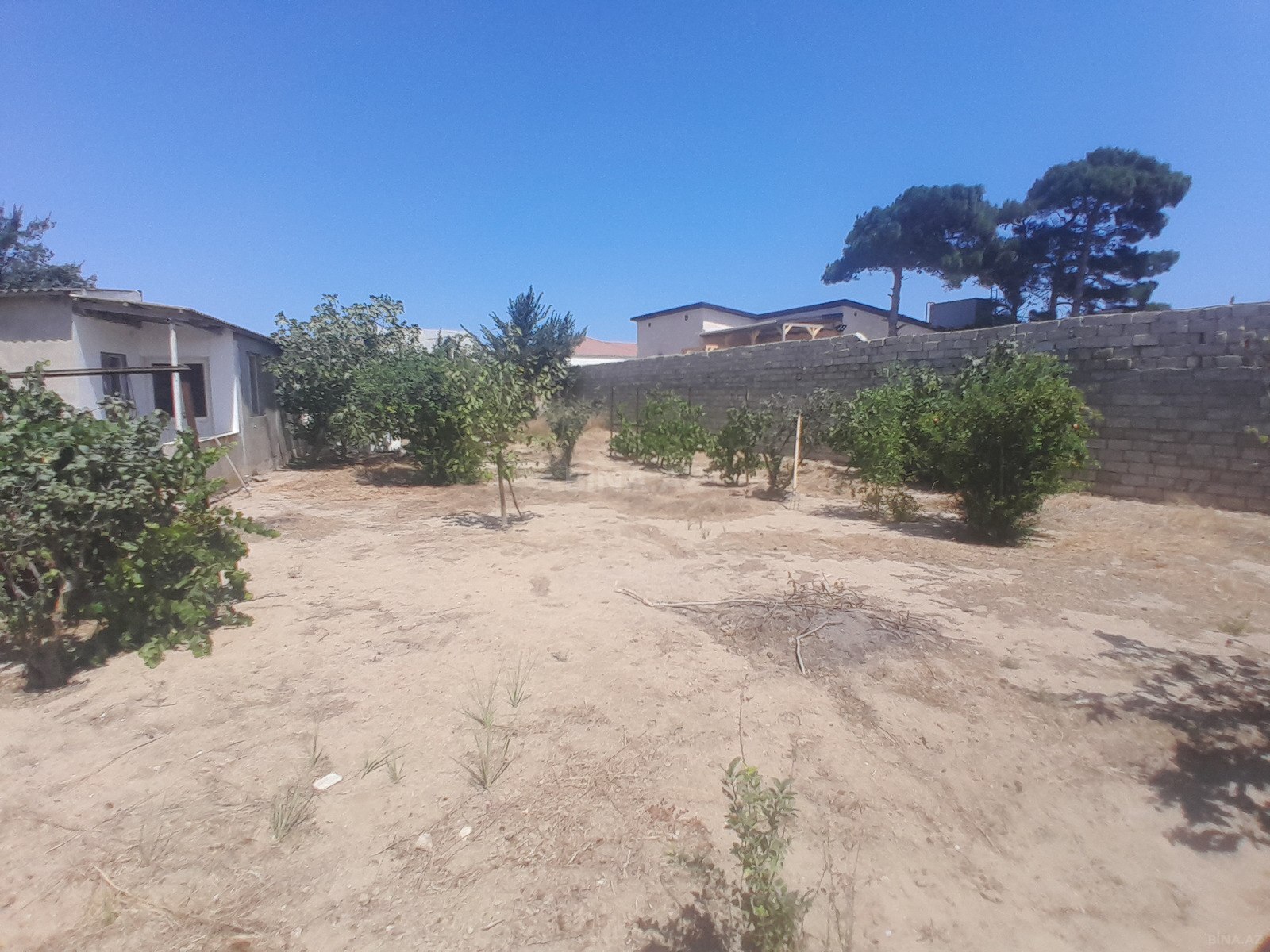 Torpaq Qala q., Bakı
