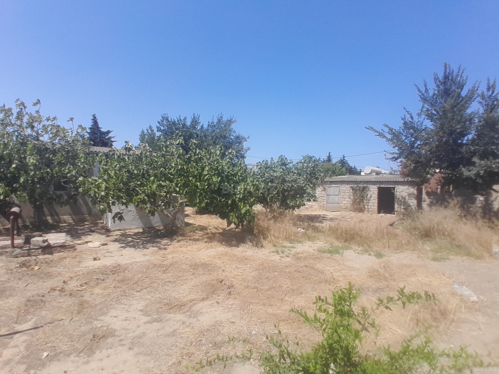 Torpaq Qala q., Bakı