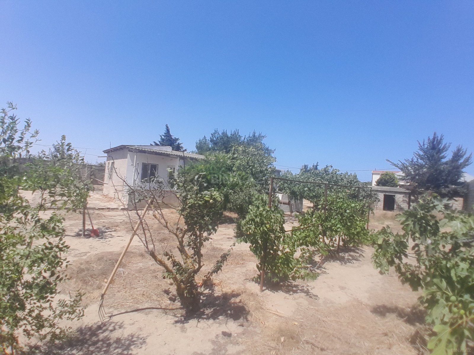 Torpaq Qala q., Bakı