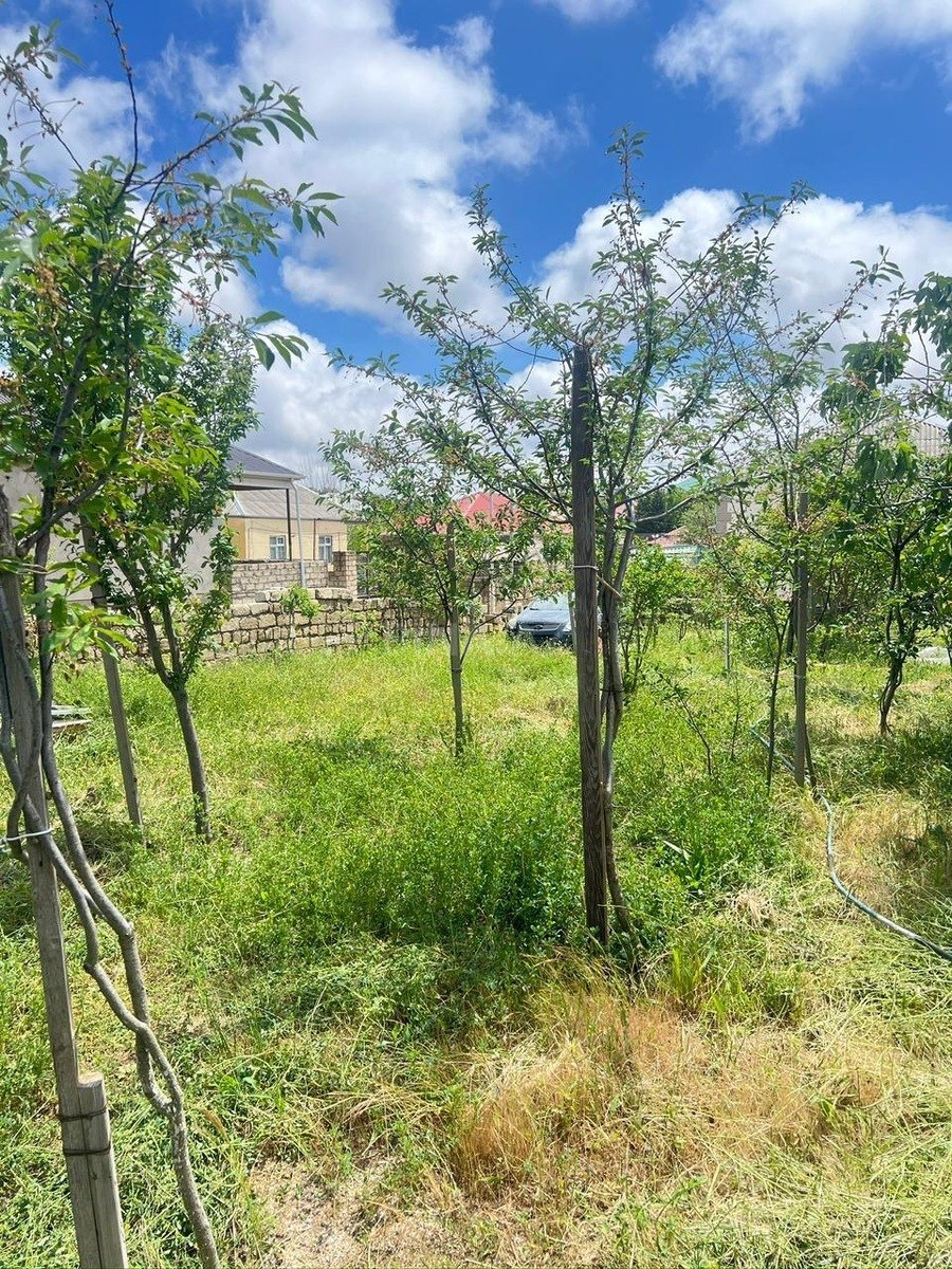 Torpaq Yeni Ramana q., Bakı