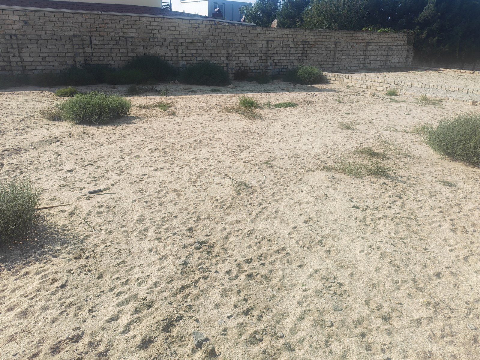 Torpaq Novxanı q., Bakı
