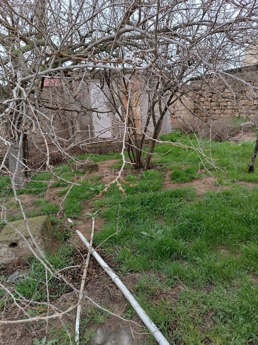 Torpaq Maştağa q., Bakı