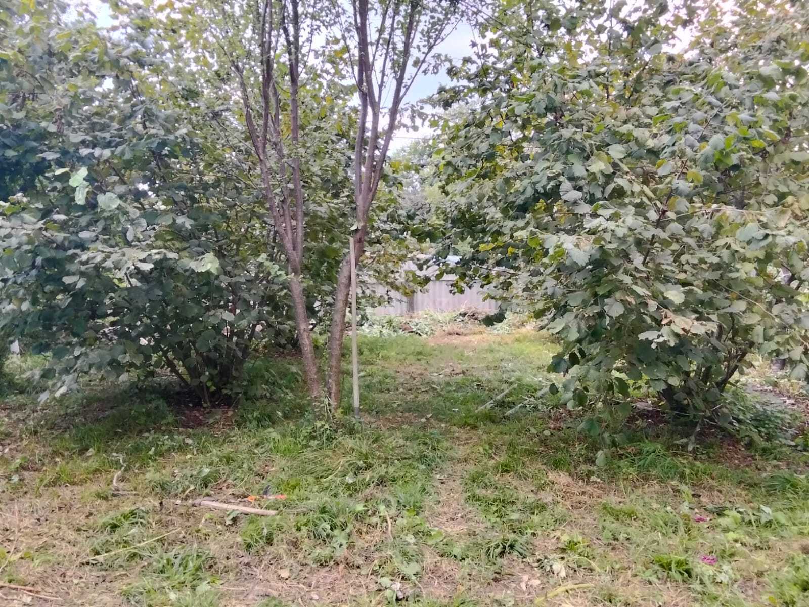 Torpaq Qəbələ