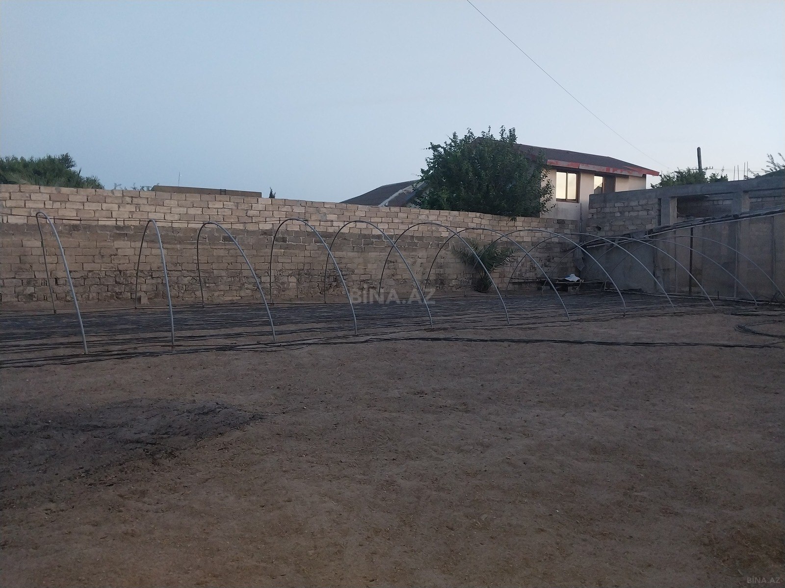 Torpaq Buzovna q., Bakı