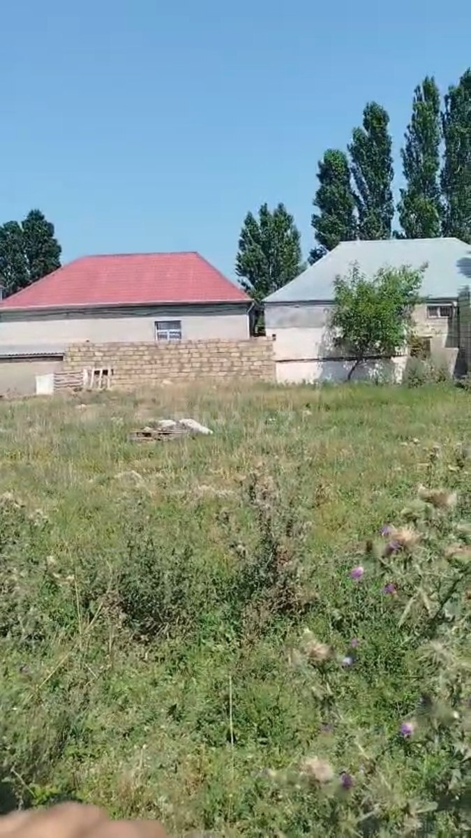 Torpaq Novxanı q., Bakı