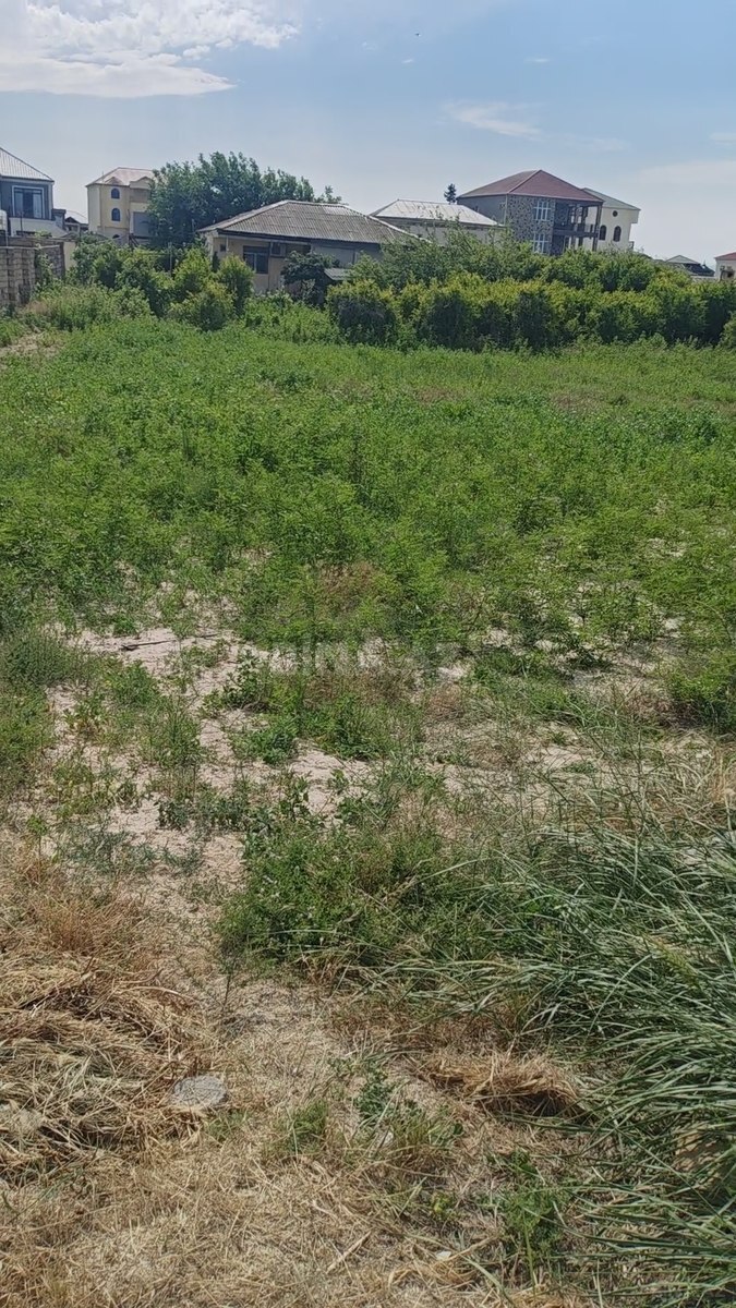Torpaq Novxanı q., Bakı