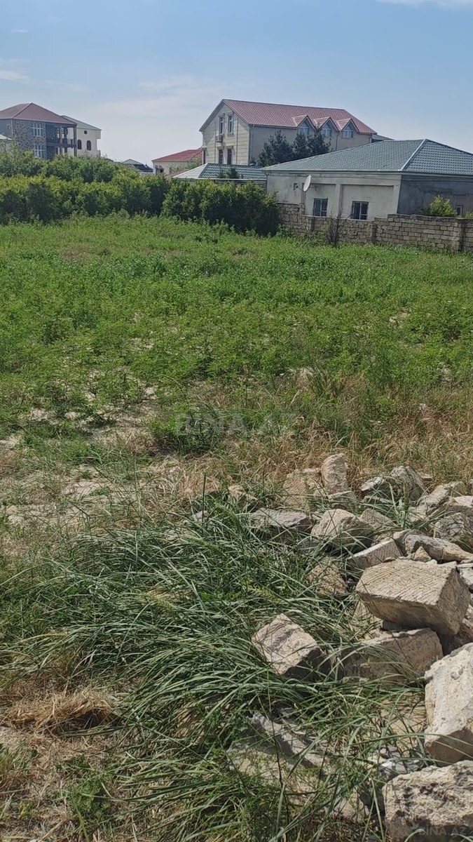 Torpaq Novxanı q., Bakı