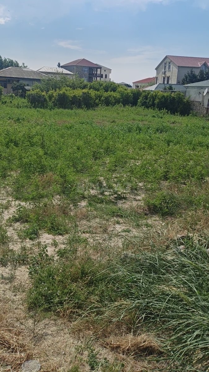 Torpaq Novxanı q., Bakı