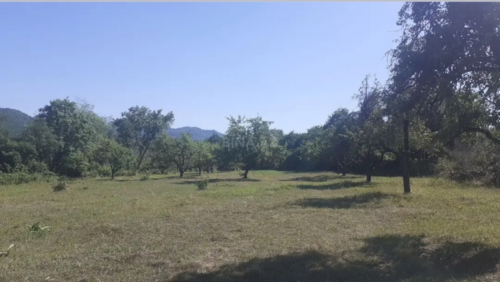 Torpaq Quba
