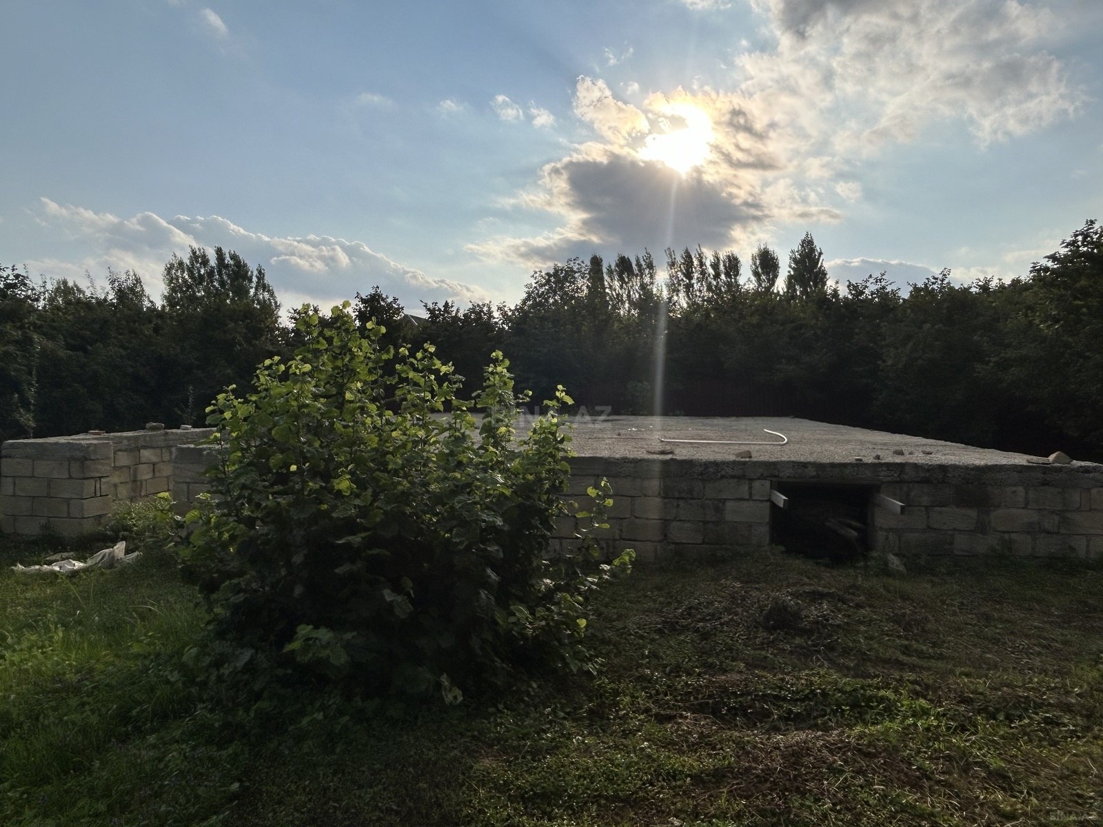 Torpaq İsmayıllı
