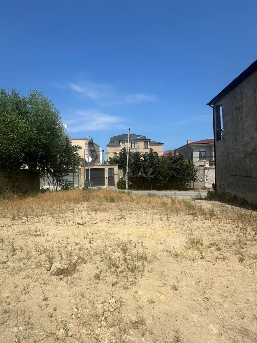 Torpaq Badamdar q., Bakı