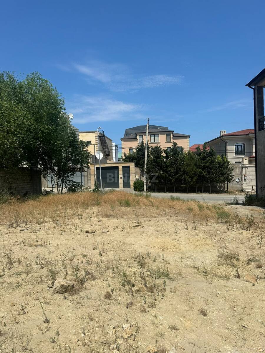 Torpaq Badamdar q., Bakı