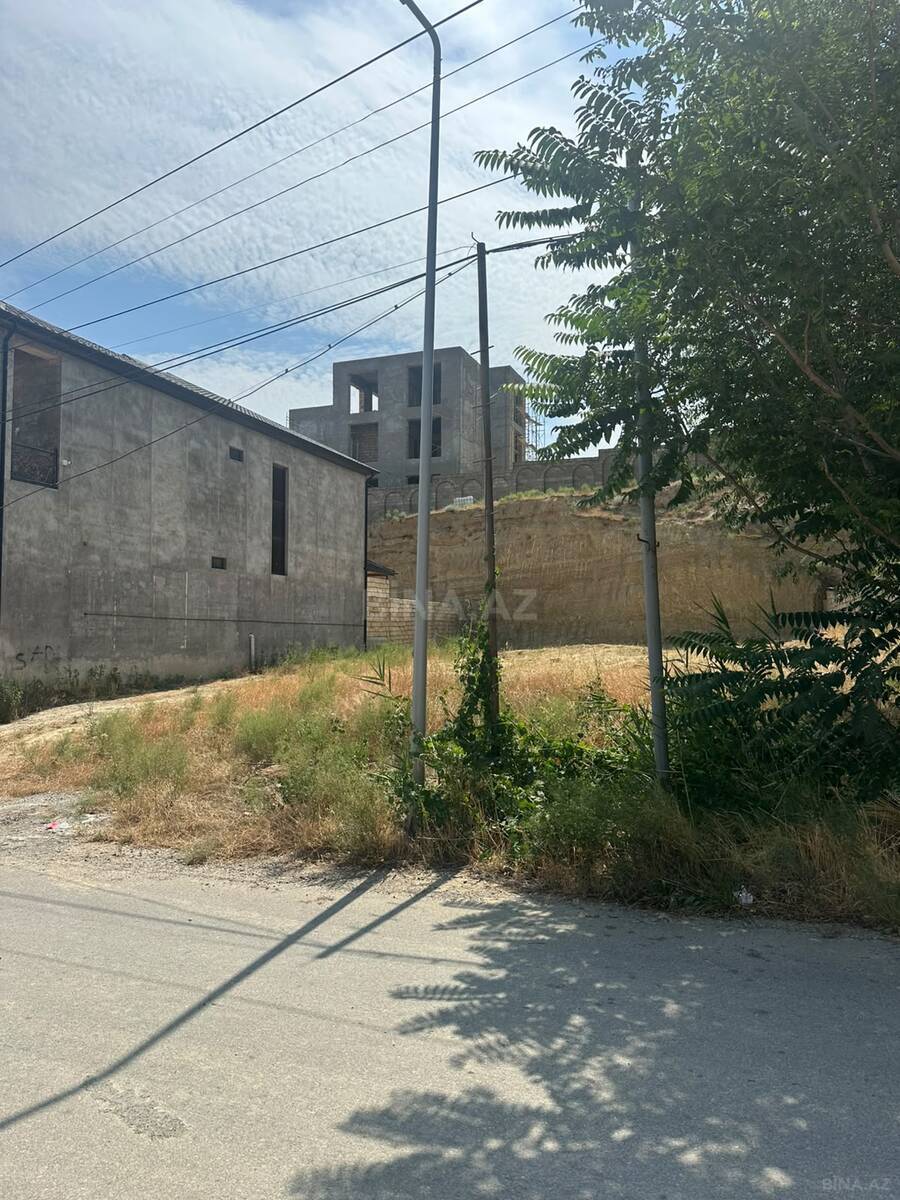 Torpaq Badamdar q., Bakı