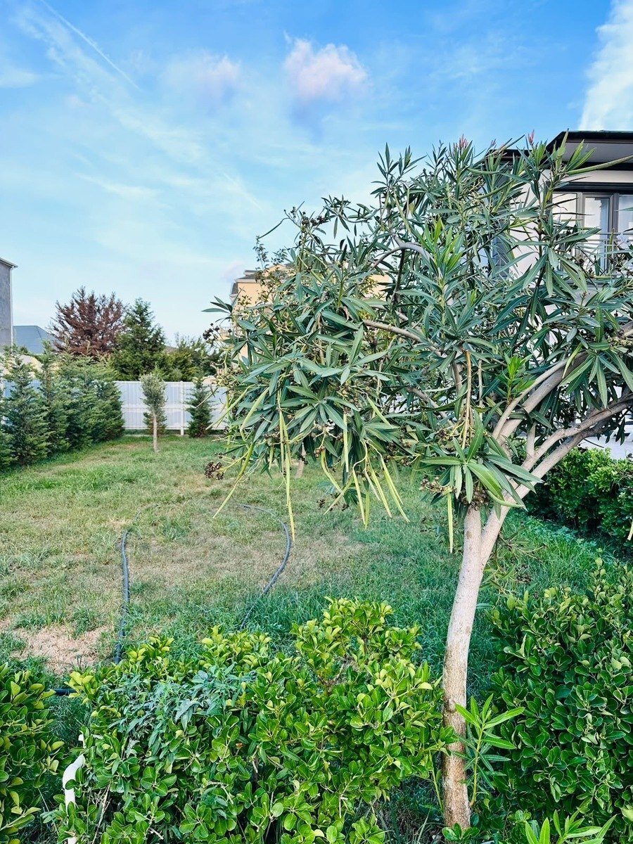 6 otaqlı Həyət evi/Bağ evi, Mərdəkan q., Bakı