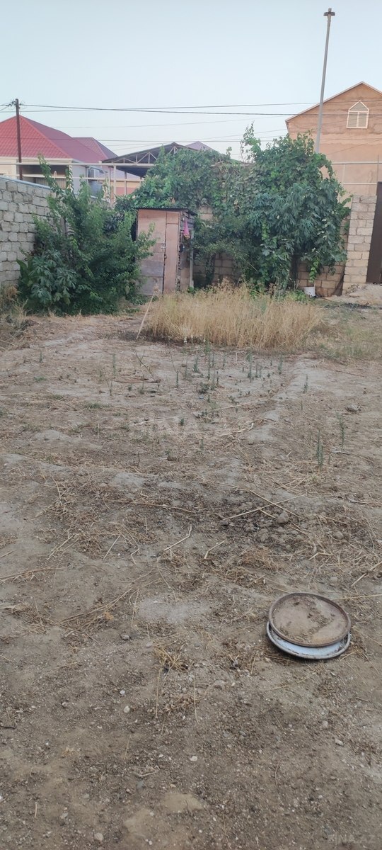 Torpaq Zabrat q., Bakı