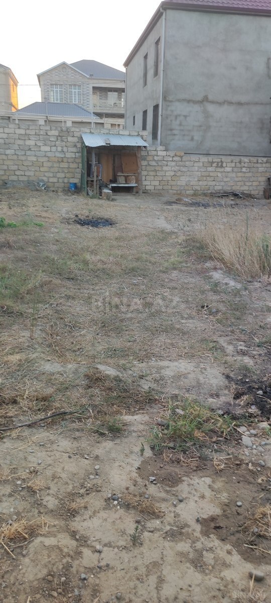 Torpaq Zabrat q., Bakı