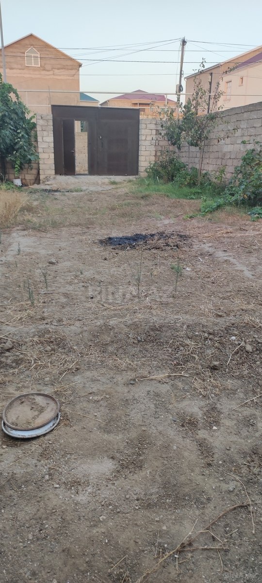 Torpaq Zabrat q., Bakı