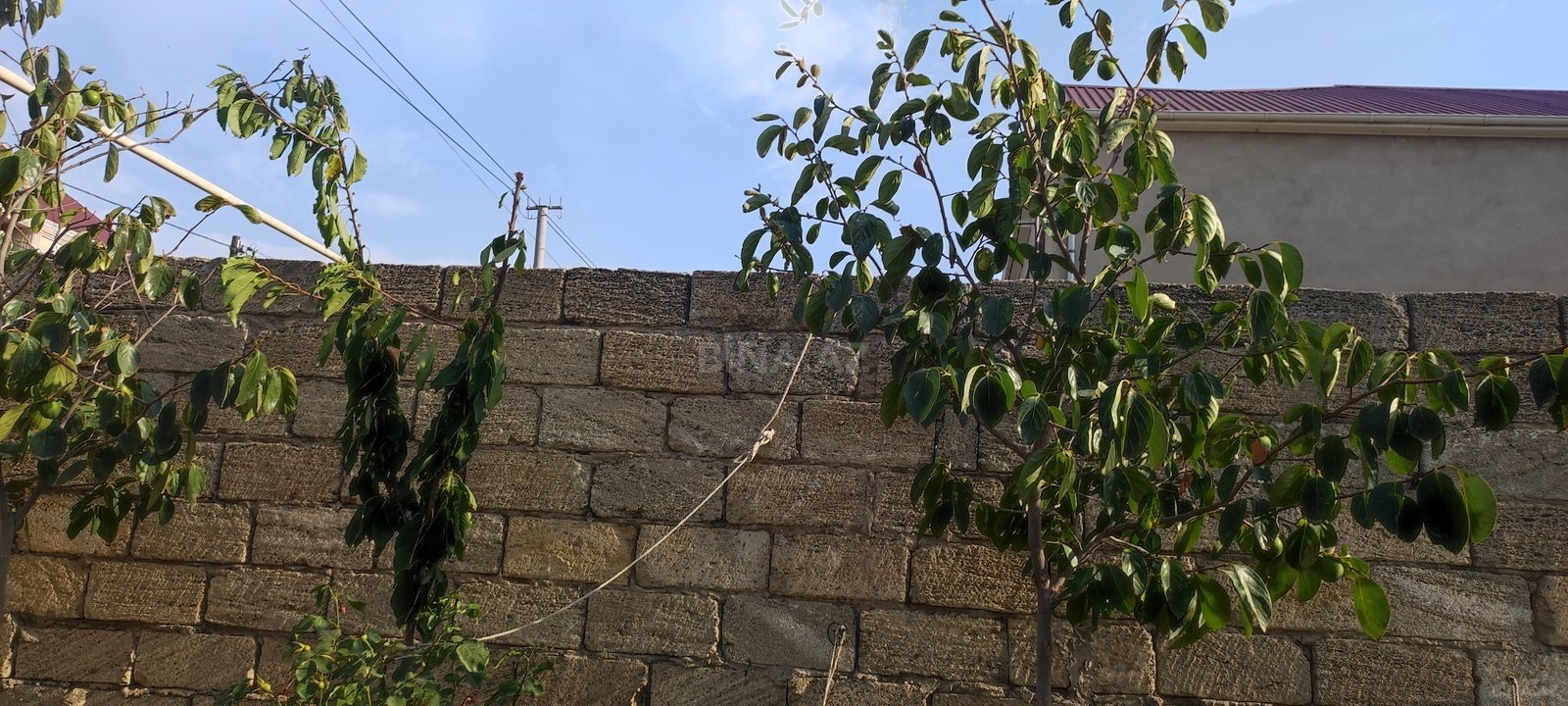 Torpaq Zabrat q., Bakı