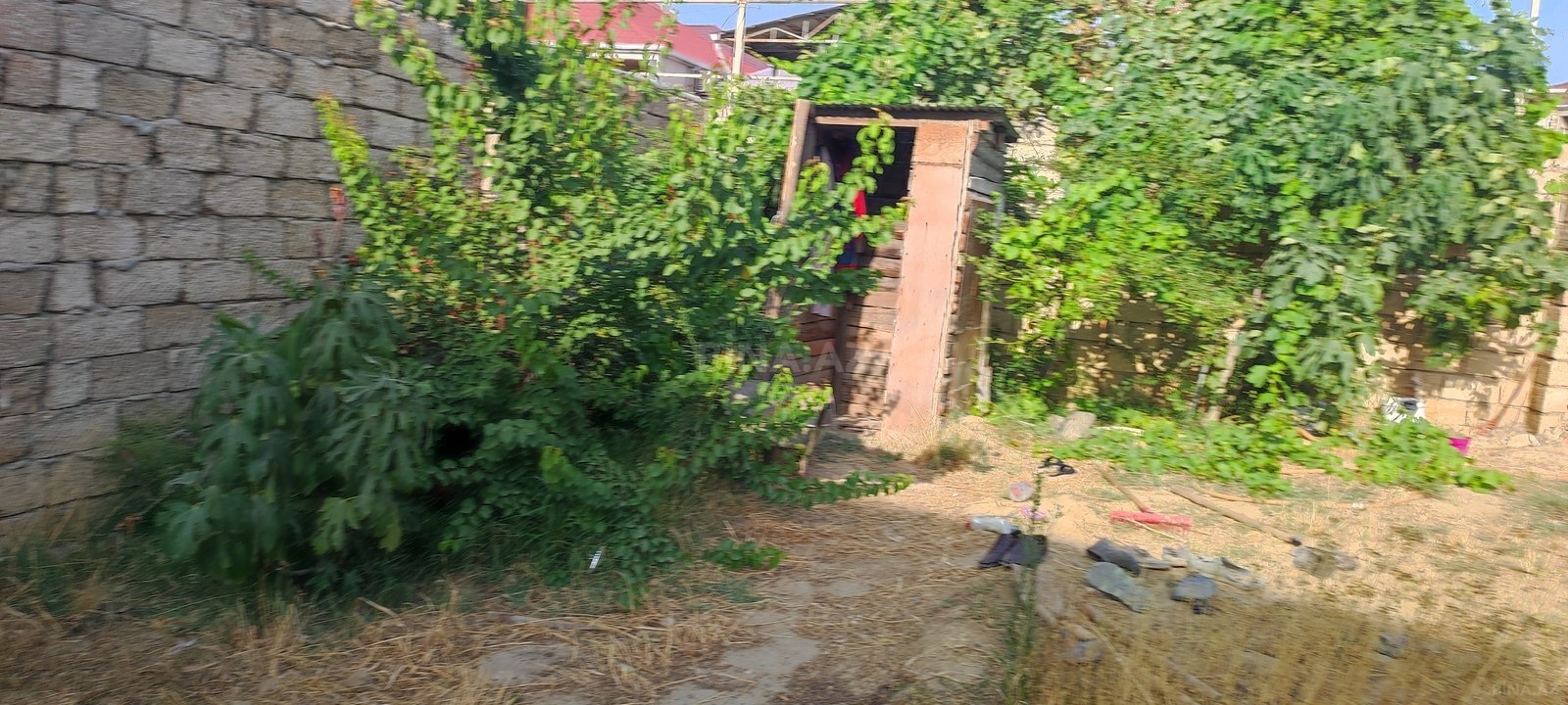 Torpaq Zabrat q., Bakı