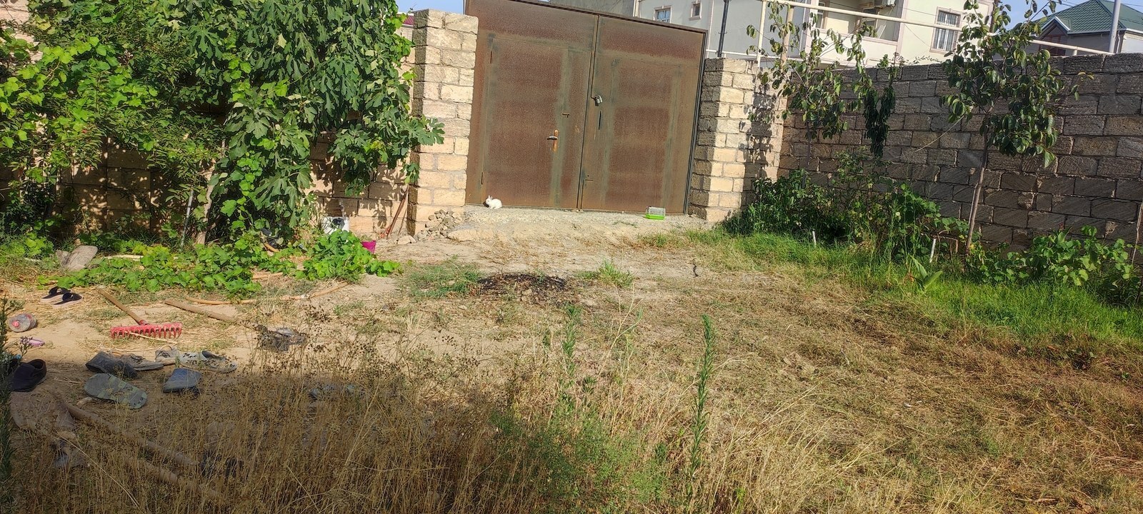 Torpaq Zabrat q., Bakı