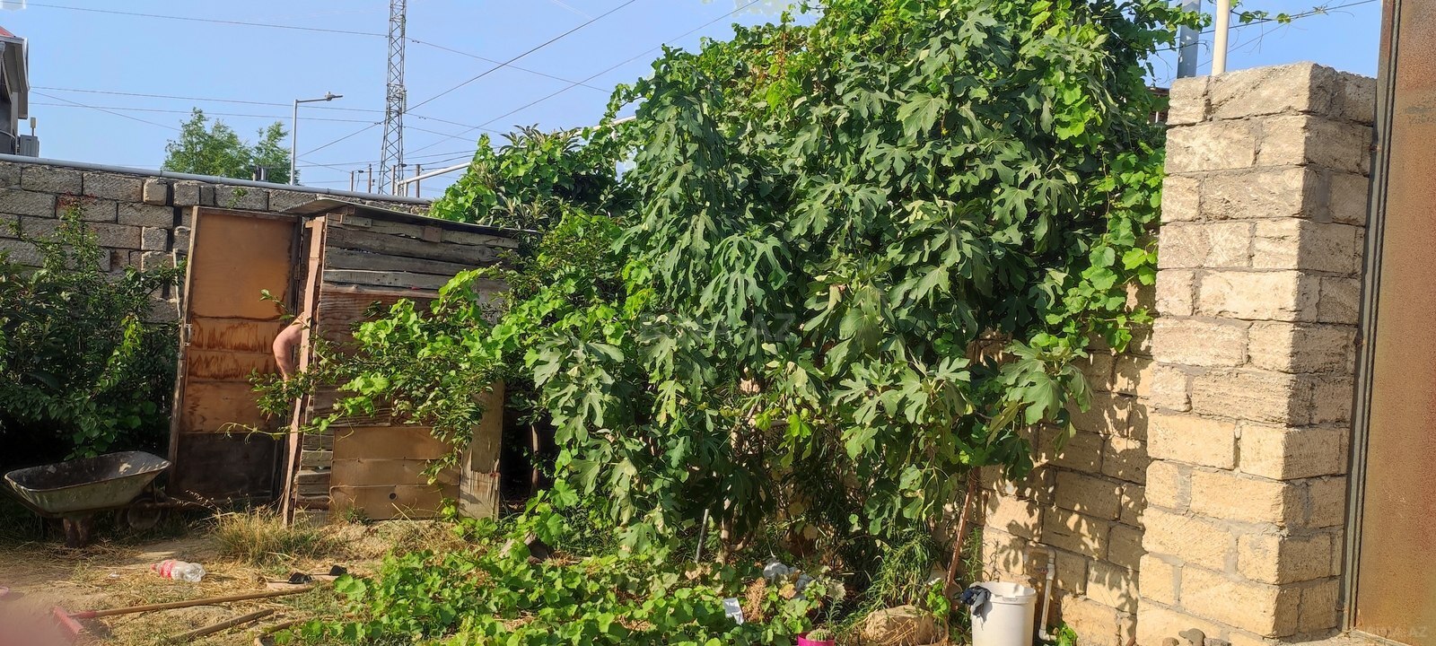 Torpaq Zabrat q., Bakı